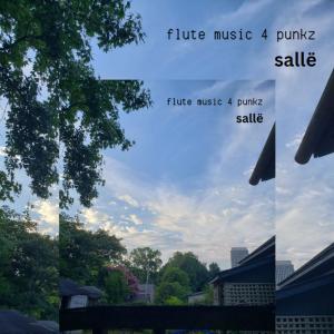 Salle的專輯flute music 4 punkz (Explicit)