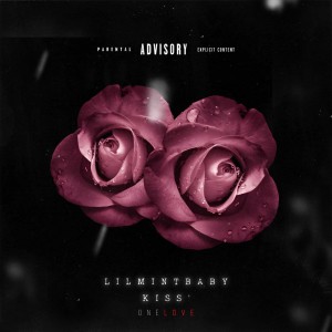 Listen to ONE LOVE (Explicit) song with lyrics from Lilmintbaby