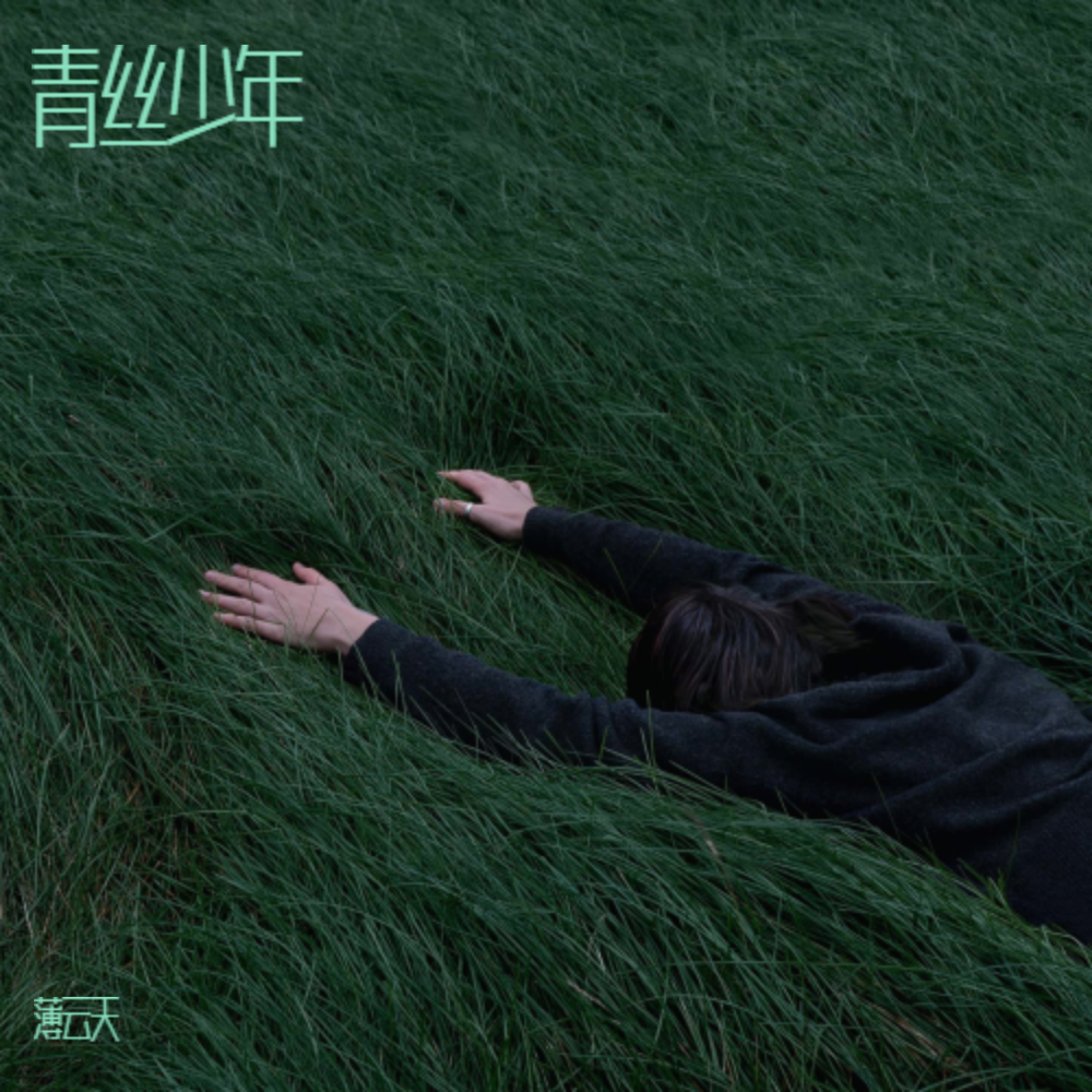 青丝少年 (DJ梦迪版) (伴奏)