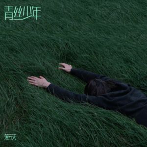 อัลบัม 青丝少年 (DJ伟然版) ศิลปิน 薄云天