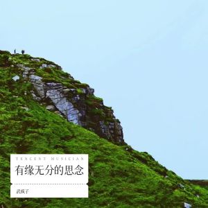 Listen to 有缘无分的思念 (完整版) song with lyrics from 武疯子