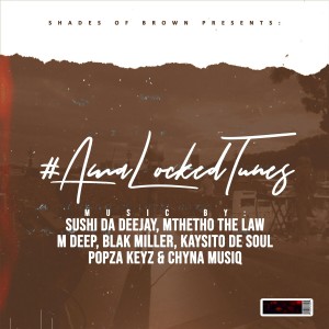 Listen to Snari Cafe song with lyrics from Mthetho The Law