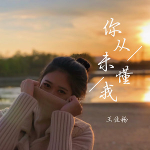 Listen to 你从未懂我 song with lyrics from 王佳杨