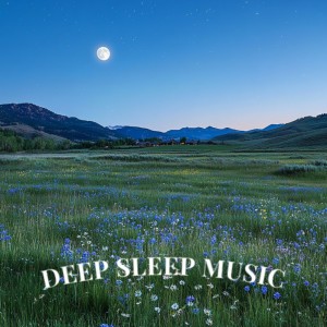 Deep Sleep Music的專輯Serene Summer Dreams for Restful Sleep