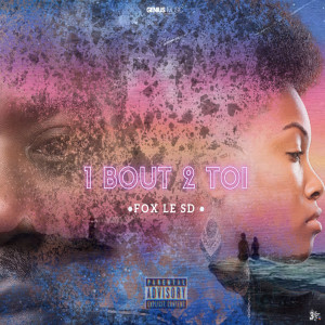 Album 1 bout 2 toi (Explicit) from 