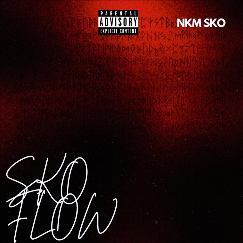 SKO FLOW (Baby drill flow remix|Explicit)