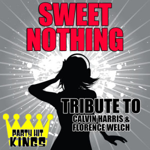 Party Hit Kings的專輯Sweet Nothing (Tribute to Calvin Harris & Florence Welch)