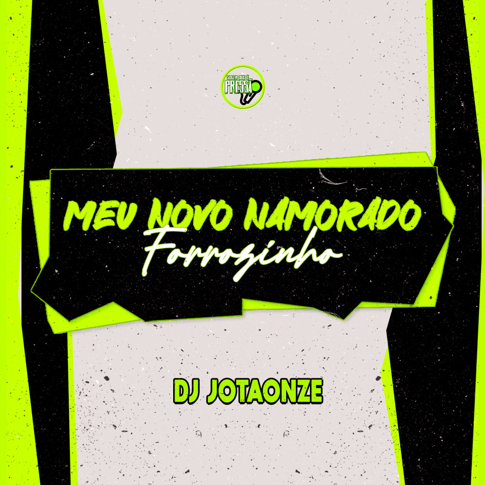 Forrozinho Meu Novo Namorado