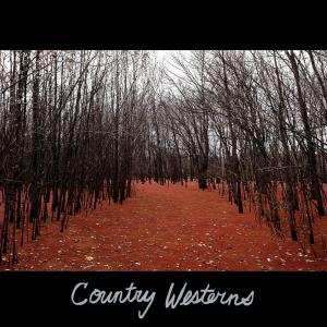 收聽Country Westerns的Anytime歌詞歌曲