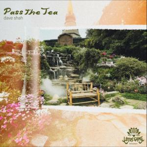 Dave Shah的專輯Pass the Tea