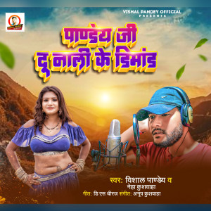 Listen to Pandey Ji Du Nali Ke Dimand song with lyrics from Vishal Pandey