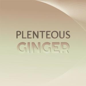 Listen to Plenteous Ginger song with lyrics from Gerian Momo