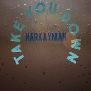 Listen to Take You Down song with lyrics from Harkaynian