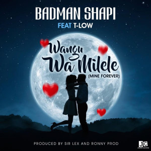 อัลบัม Wamilele (feat. T-Low) ศิลปิน Badman Shapi