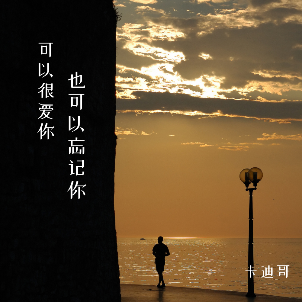 可以很爱你也可以忘记你 (伴奏)