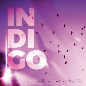 Listen to Like a Seed in the Sand song with lyrics from X-Clusives