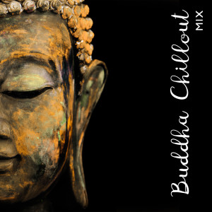 Listen to Don't Do Anything song with lyrics from Buddhist Ambient Chill