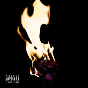 Album Burning Roses (Explicit) oleh Talon