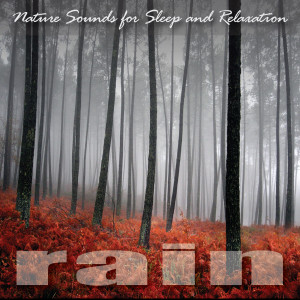 Album Nature Sounds for Sleep and Relaxation oleh Rain