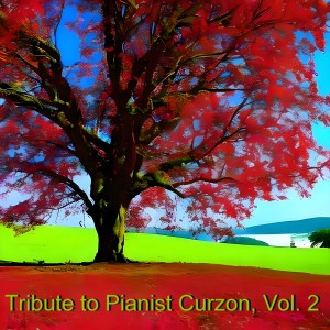 Album Tribute to Pianist Curzon, Vol. 2 oleh Hans Knappertsbusch