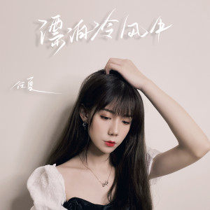 收聽任夏的漂泊冷風中 (DJ版)歌詞歌曲