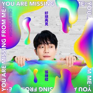 อัลบัม 好想再见 You Are Missing From Me ศิลปิน Nicholas Teo