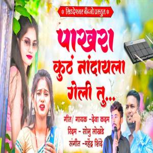 ดาวน์โหลดและฟังเพลง Pakhara Kuth Nandayla Geli Tu พร้อมเนื้อเพลงจาก Sonu Lokhande