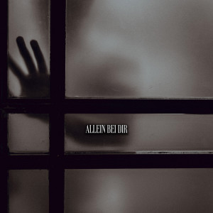 Album Allein Bei Dir from 