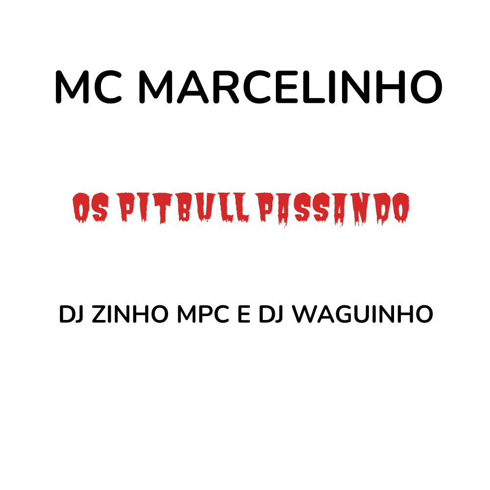 Os Pitbul Passando (Explicit)