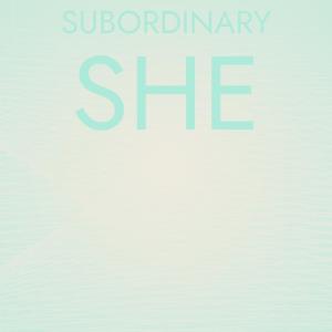 Various Artists的專輯Subordinary She