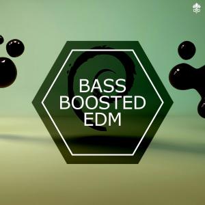 Various Artists的专辑Bass Boosted EDM