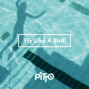ดาวน์โหลดและฟังเพลง Fly Like A Bird พร้อมเนื้อเพลงจาก Pitto