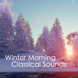 ดาวน์โหลดและฟังเพลง Sonata No. 50 in D Major, Hob. XVI: 37: III พร้อมเนื้อเพลงจาก Joseph Alenin