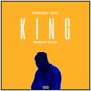 收听Fireboy DML的king歌词歌曲