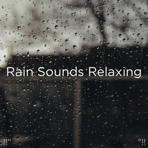 ดาวน์โหลดและฟังเพลง Rain Sounds พร้อมเนื้อเพลงจาก Rain Sounds