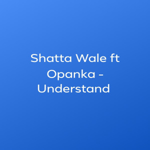 ดาวน์โหลดและฟังเพลง Understand (feat. Opanka) พร้อมเนื้อเพลงจาก Shatta Wale