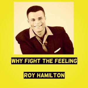 Why Fight the Feeling dari Roy Hamilton