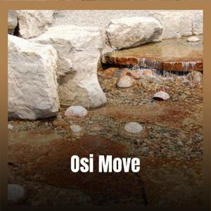 Album Osi Move from Various