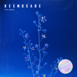 Album Stay Awake from KEEMOSABE