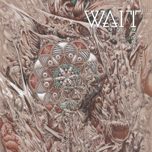 ดาวน์โหลดและฟังเพลง Wonder พร้อมเนื้อเพลงจาก Wait
