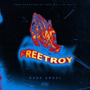 Album FreeTroy from R O Beatz
