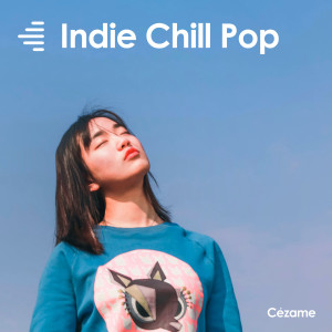 Album Indie Chill Pop from Various