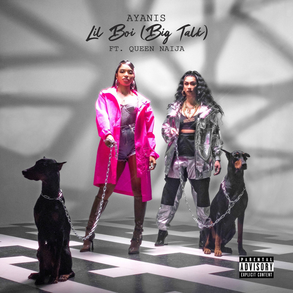 Lil Boi (Big Talk) [feat. Queen Naija] (Explicit)