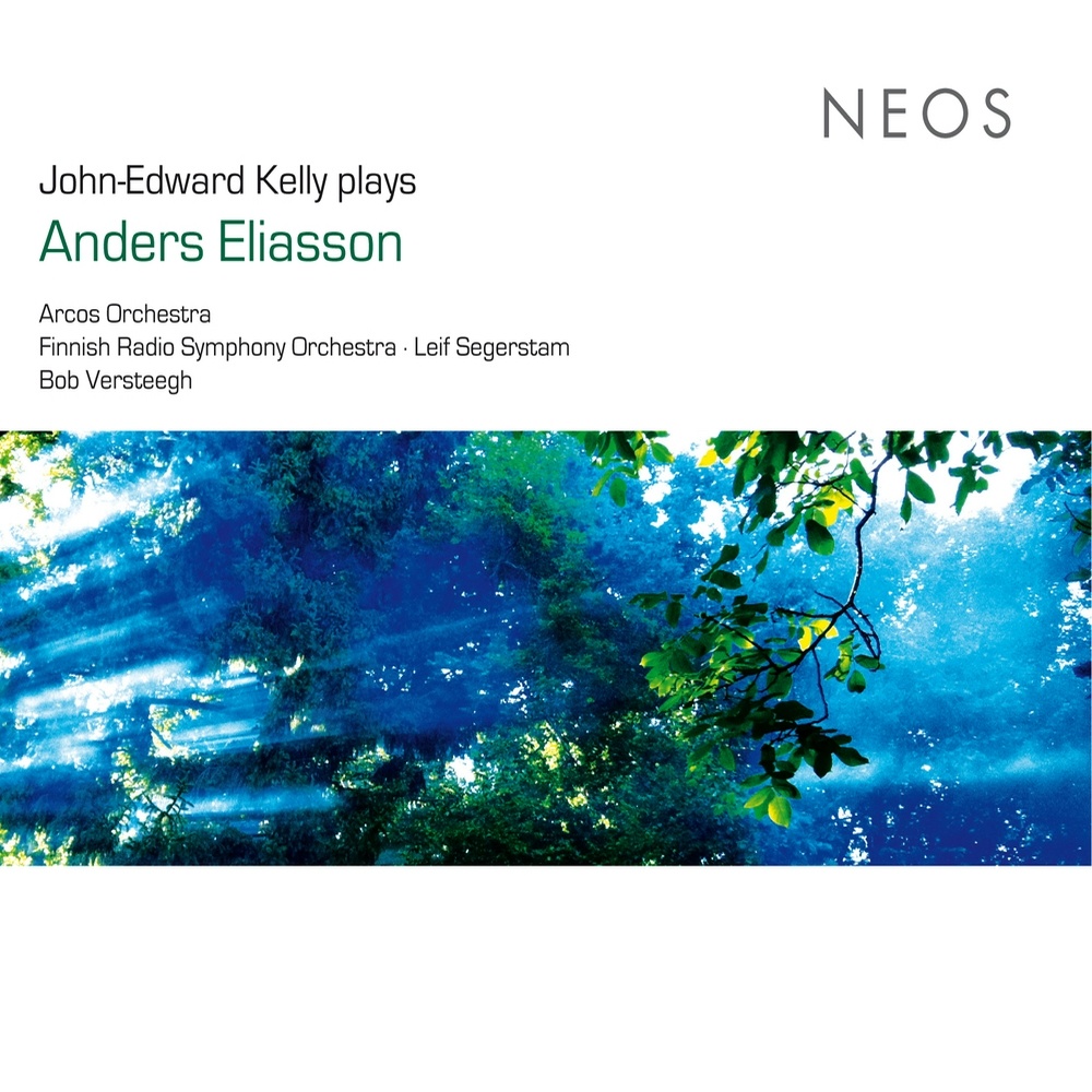 Symphony No. 3, "Sinfonia concertante": V. Nebbie