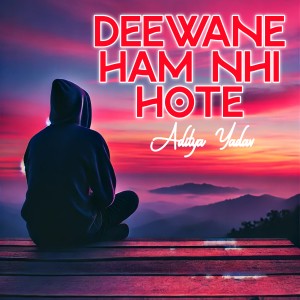 Listen to Deewane Ham Nahi Hote song with lyrics from Aditya Yadav