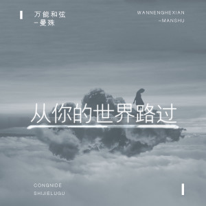 Album 从你的世界路过 from 万能和弦