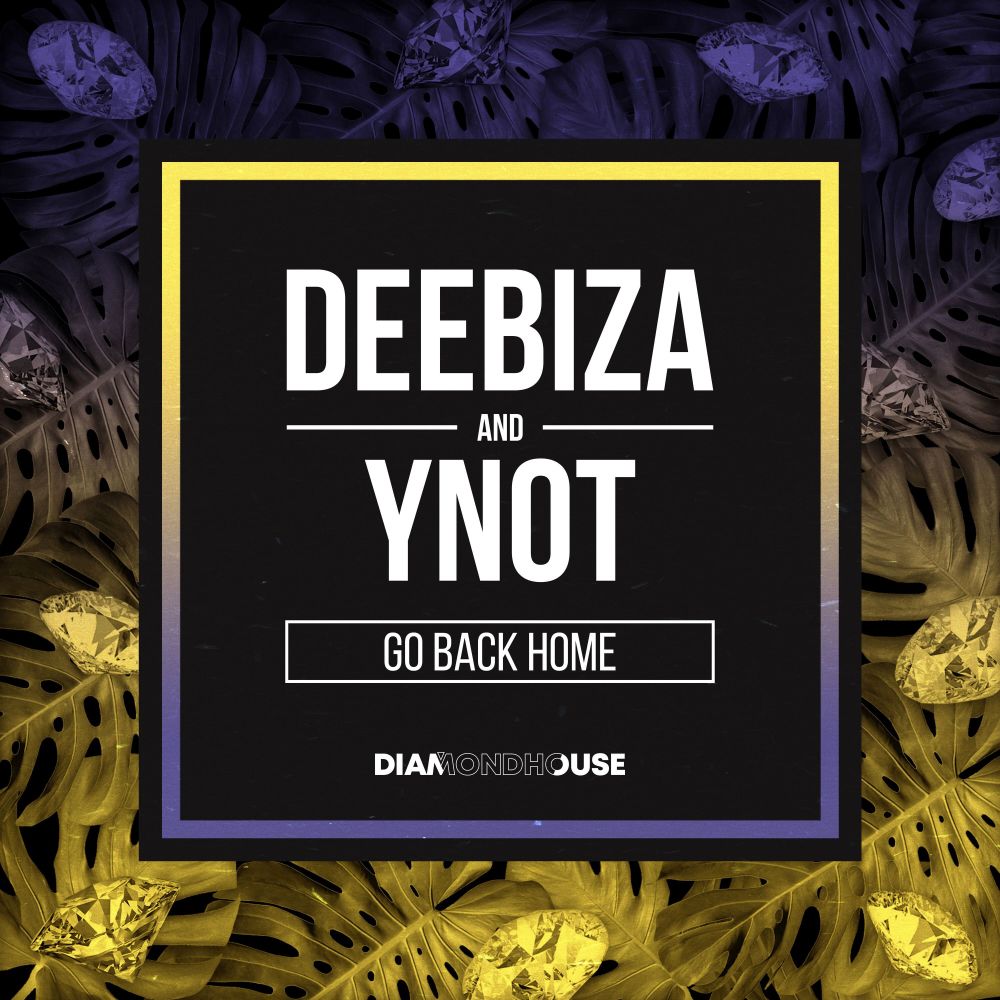 Go Back Home (DJ Edit)