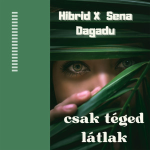 收聽Hibrid的Csak Téged Látlak歌詞歌曲