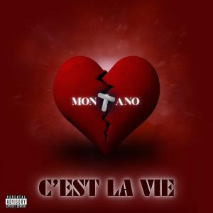ดาวน์โหลดและฟังเพลง C'est La Vie (Explicit) พร้อมเนื้อเพลงจาก Montano