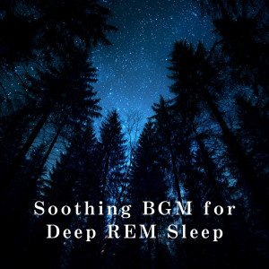 อัลบัม Soothing BGM for Deep REM Sleep ศิลปิน Relaxing BGM Project